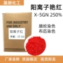 阳离子x-5gn250染色双面绒珊瑚绒