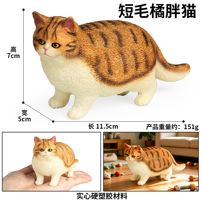 M4274H gato gordo naranja de pelo corto