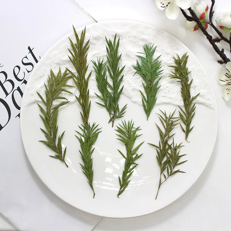 Тысячи слоев золотого пояса листового растения образец сушеного цветка с тиснением чехол для телефона закладка реальные листья настоящие цветы декоративные наклейки