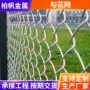 定制果园养殖防护勾花网