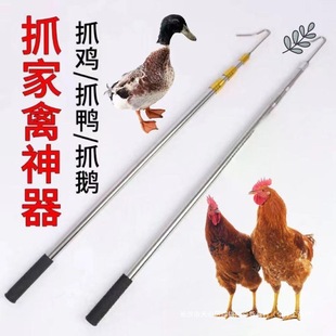 Chicken Catching in the Field Chicken Catching Hook Chicken Catching Tools Farm Chicken, Duck, Goose Foot Cover Chicken Catching Hook Outdoor Catching