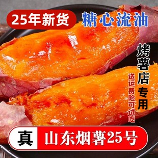 ����25̖ɳ���������ļt��С���r�tƤ�ğ�̨�r��Ժ��ɽ����