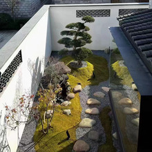 ��ɫ�[ʯ �����·��ɫˮϴʯˮĥʯ ���B�C��͸ˮС��ʯ�ӿ�ɽʯ