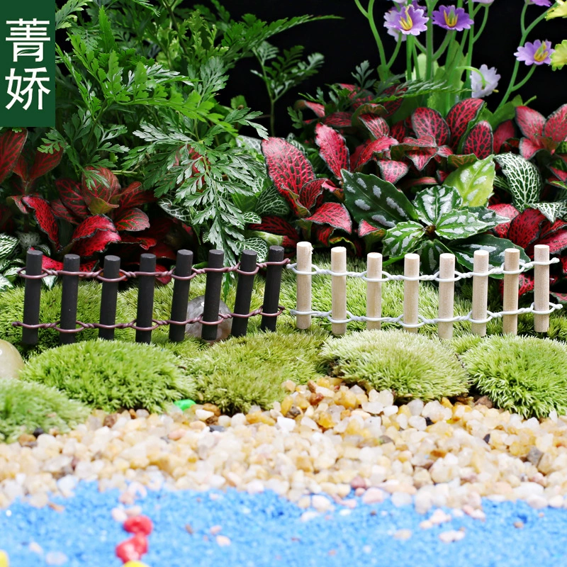 Круглый забор мох мясистый микропейзаж DIY материал в горшках Садоводство зеленые растения Цветочные украшения