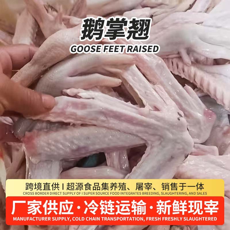 冰鲜鹅掌翅农家散养新鲜现杀大鹅掌鹅脚鹅肉冰鲜冷冻鹅爪子鹅翅膀