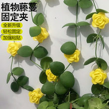 玫瑰绿萝固定器绿植爬墙神器墙面西瓜藤蔓固定夹无痕绿植固定器