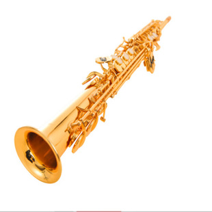 ����ɭ �����_��˹ ZSS-1000 �����_��˹