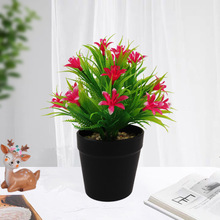  컨Sٻֲ[滨 辰  ֲ