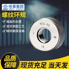 �S��ֱ�N���������ݼy�hҎ�����ݼy���hҎ�ǘ��F�����hҎֹͨҎ�h