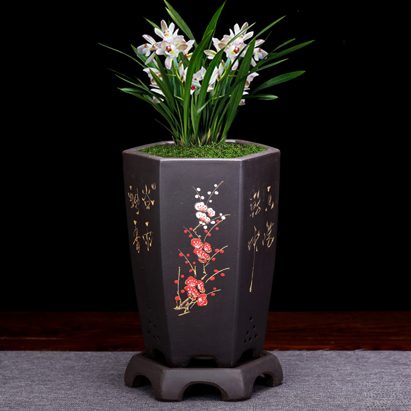 紫砂兰花盆君子兰六方带托盘兰草盆景陶瓷盆栽室内客厅兰花盆