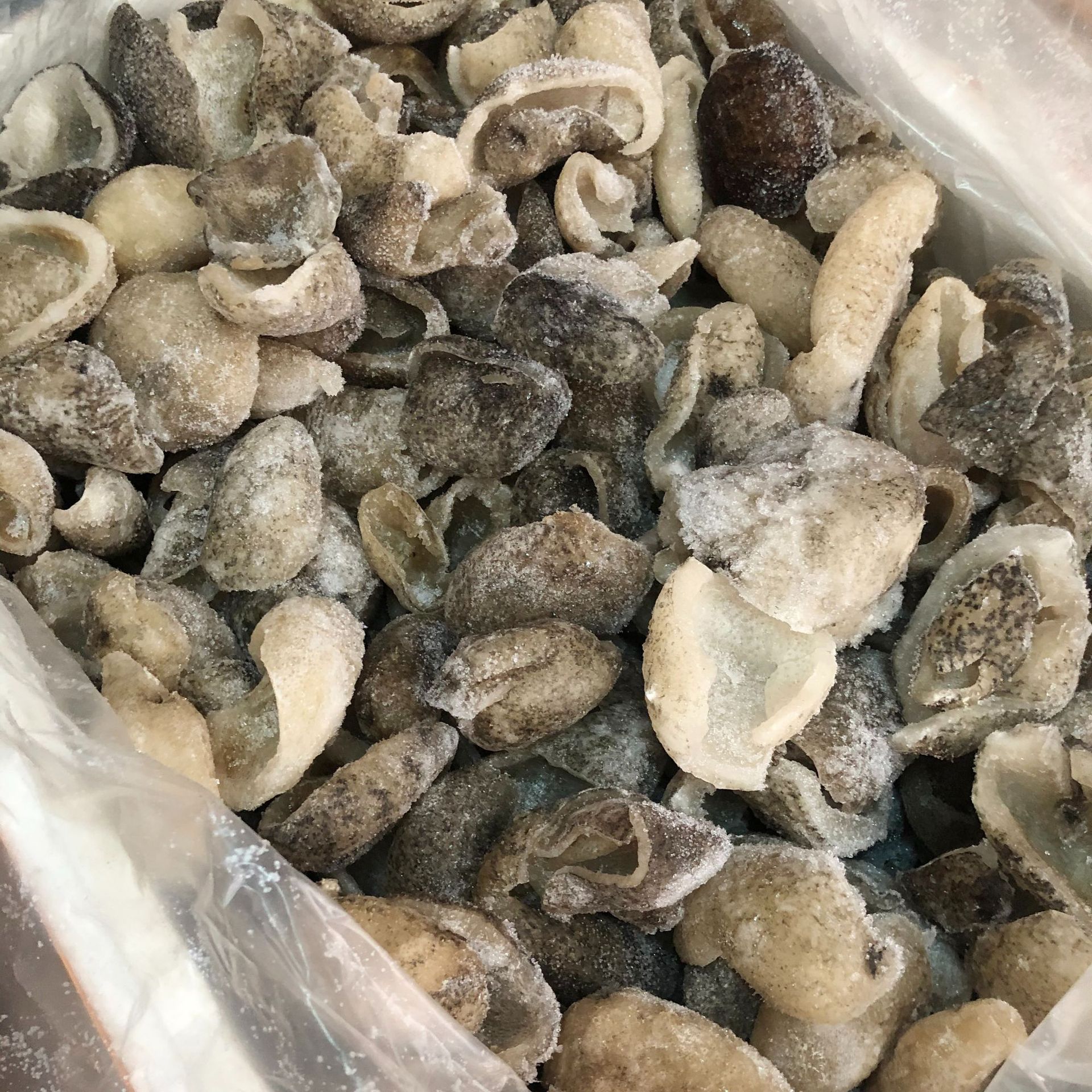 批发 大连即食球参 海参 刺参小辽参非干货海参大连即食海参代发-阿里巴巴