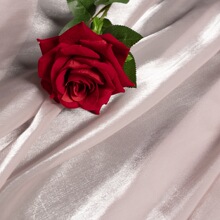 С���L�ٺ϶θ�Ʒ�|27���ȴ��КW��������΢͸�����r���r��Ů�b