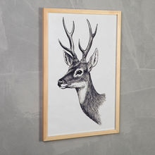 ��ľ���젝������b��8K�_4kľ�l�Լ��M�b���A3ƴ�D�������a4