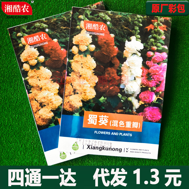 Double-Flowered Hollyhock Flower Seeds, Suitable for Planting in All Seasons, Easy to Grow Outdoors, Flower Seeds for Garden, Seeds Available for Shipping
