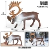 348 reindeer