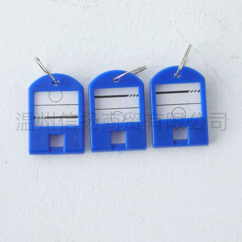 Plastic removable keychain for keys for office