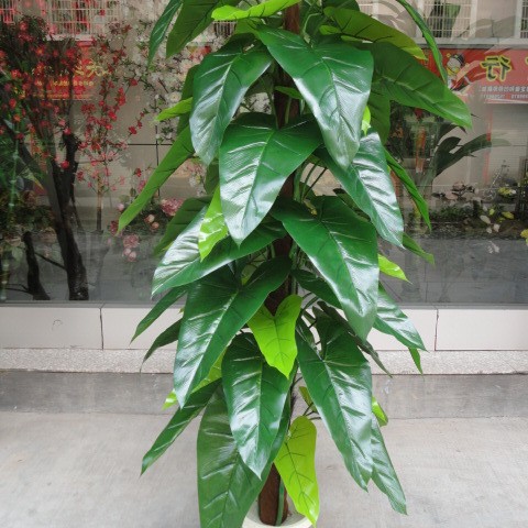 FUENTE Fábrica al por mayor de la planta de simulación árbol 63 Paquete de hojas Goteo marrón Guanyin rábano verde de hoja perenne planta verde árbol falso