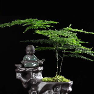 ���愓�⻨��С̖�Gֲ����Ҭ�����Ԃ����մ���ɰ͸��ŵ���⻨��