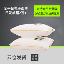 2025�¿�����^ ���������о ���w���ݿ������^��о������о