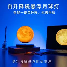 塑料工艺品;展示架;其他装饰摆件