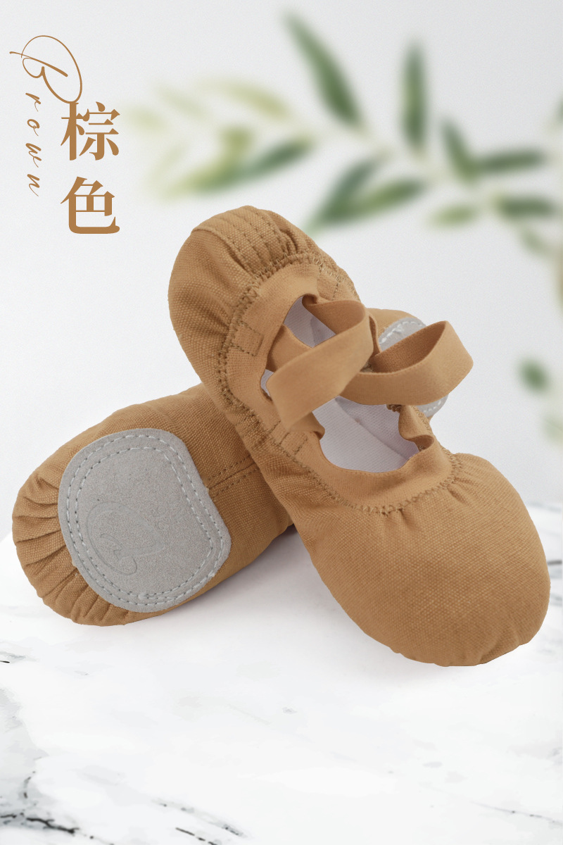 Zapatos de baile para adultos zapatos de práctica zapatos de garra de gato de fondo suave zapatos de baile de ballet boca elástica zapatos de punta de tela sin cordones al por mayor