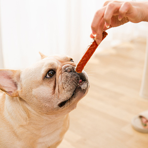 Dog snacks cut into strips of salmon pet Teddy small puppy training reward bite-resistant molar stick wholesale