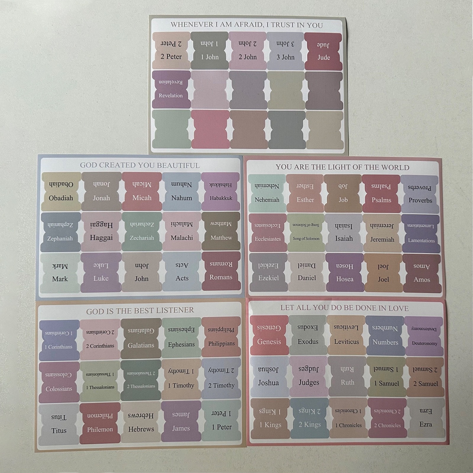 모란디, 팩당 5개