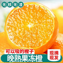 【果冻橙】四川青见果冻橙水果批发青见柑橘皇后丑橘水果新鲜橘子