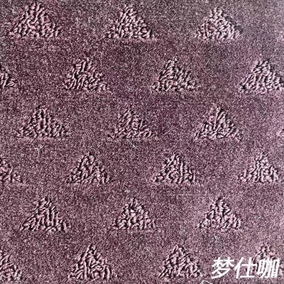 Two-Layer Carpet, 360-Degree Full Coverage, Tpe-Specific: Car Carpet - mengshika