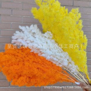 ���������R�� �Y�в�������������diy��� ��ϏS�Ҹɻ��������l