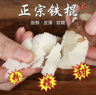 40�������rɽș �����F��ɽș5���b ���Ϝؿh�خa��ɽș������l