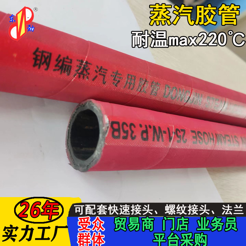 עܻ¯ѹsteam hose 220͸