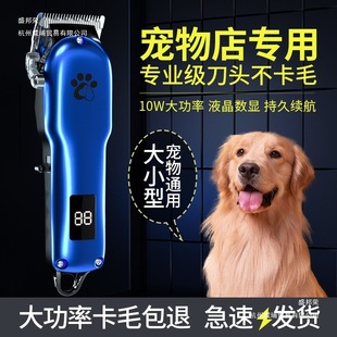 �������ӌ��I��ë��������Ƽ���ë��ë����������Ȯ����ꌣ��