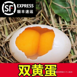 �p�S���������u�����r�u�����l����t�ĵ���Ĭ�J헰��b����
