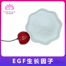 EGF粉末99% 重组生长因子 EGF生长因子 1克/袋 egf冻干粉 现货