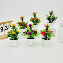 ����Gֲ5��С�ɻ�С��������辰���⾰�^���݉��Gֲ��Ʒ�ٻ��b