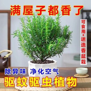�Ե�������ţ�������r���������ʳ�ñ����~���K�_�����ֲ���{��