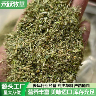 2025������ޣ�ݷ� 4���׺Y�W �ҷ�10���� �ɴ��滨��������ݷ��