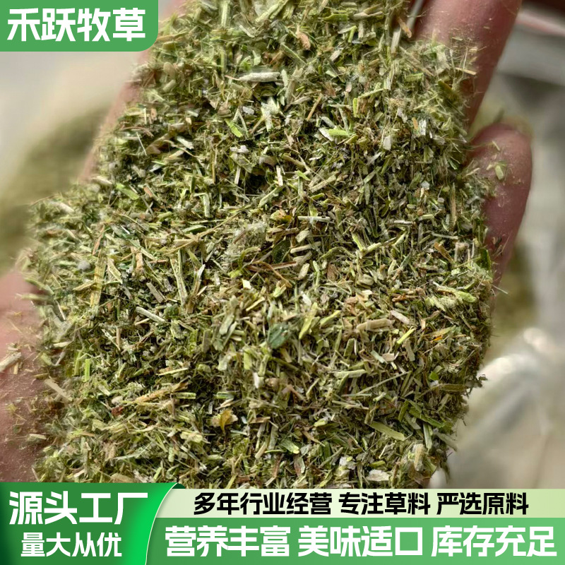 2025年新苜蓿草粉 4毫米筛网 灰分10以下 可代替花生秧粉羊草粉饲
