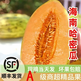 其他水果;番石榴/芭乐;哈密瓜