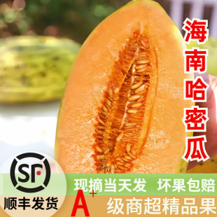 ��S���Ϲ��ܹ����rˮ���ｮ�����۹Ϯ����ϝh�ϾW�y�����