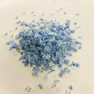 Japanese nail art color absorption small floral dried flower flower flower DIY floral material net red nail art flower material glue drop jewelry flower