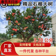 һlشʯͻ˹ܛѵͥԺӟoʯ