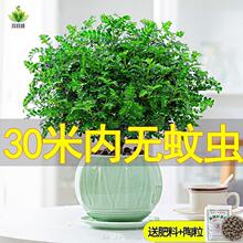 ��ò����������������ľ��ֲ���҃��⻨�ܺ��B�͏dС�Gֲ�辰��