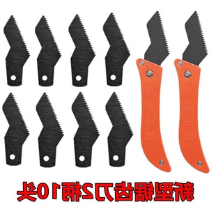 ���p�����ꖽ����b���p����p����p����p�F�׿p��ʩ�����߿羳