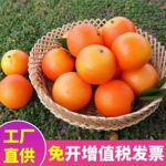 橙子脐橙假水果模型摆件橱柜装饰道具水果店橘子塑料仿真水果模型