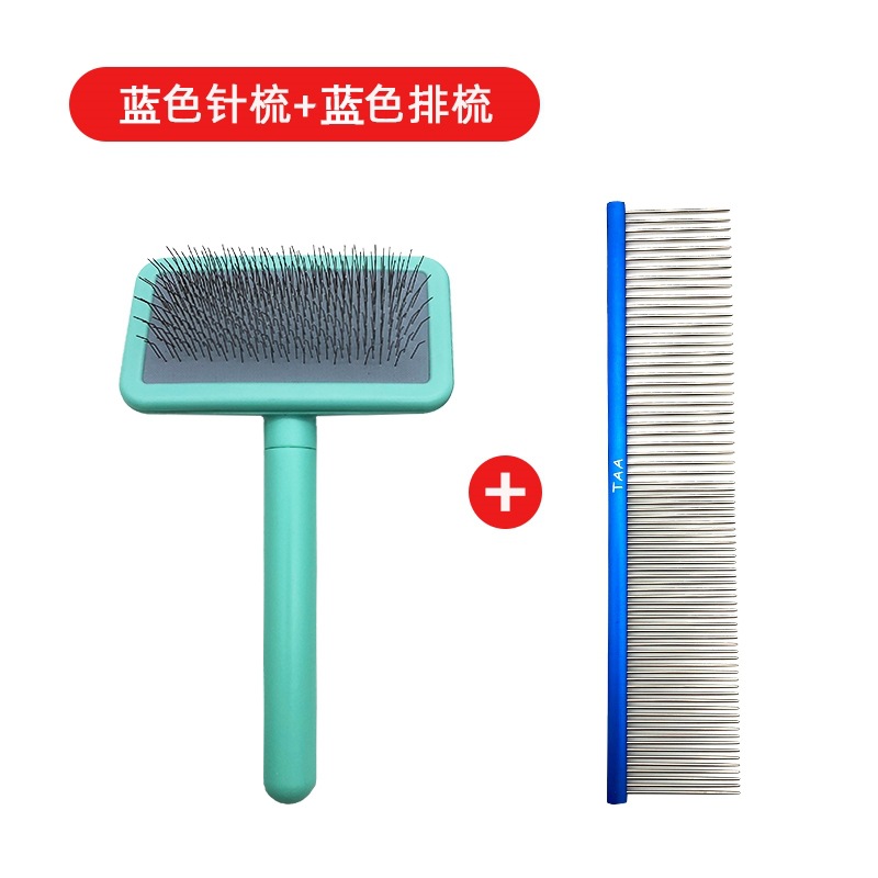 핀 빗 블루 빗 블루