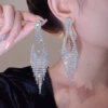 Shiny earrings, style