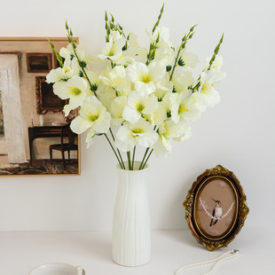 ���N���� ����6�^���m���[���͏d�������Ҳ廨�Ҿ��bS�����l