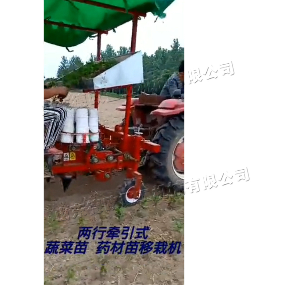 农用蔬果苗移栽设备 大棚钵体秧苗移种机 拖拉机后挂式秧苗移栽机